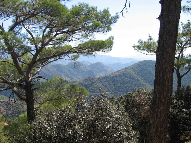 cyprus 075.jpg
