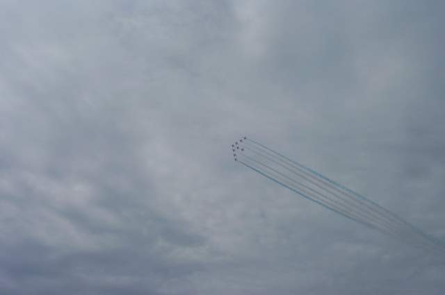P1002227.jpg