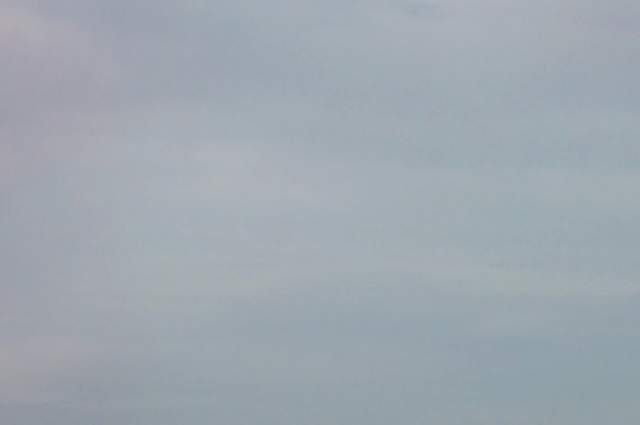 P1002245.jpg