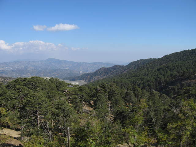 cyprus 105.jpg