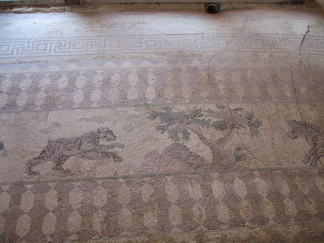 cyprus 158.jpg