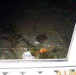 May 2002