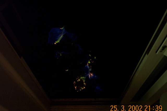DCP_1585.jpg