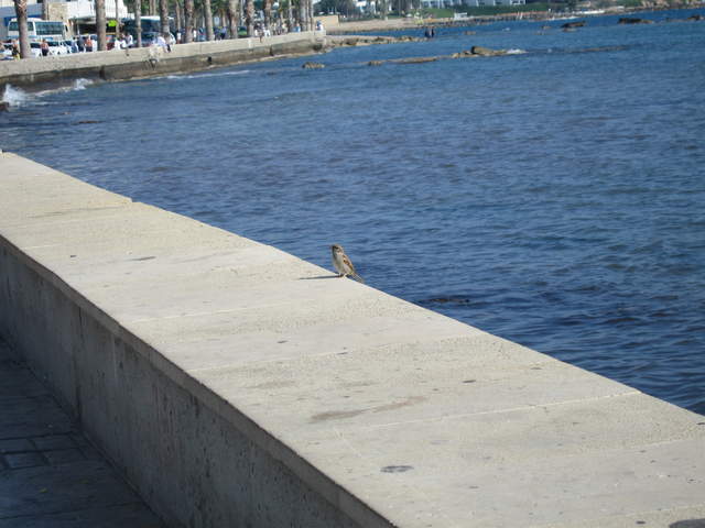 cyprus 179.jpg