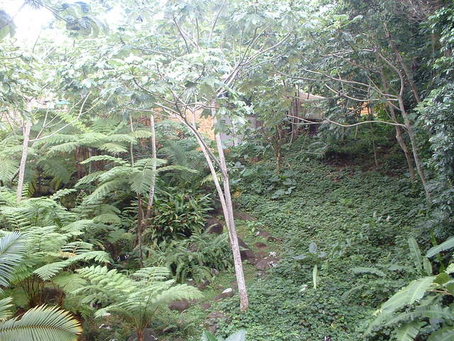 Landscape photo taken at El Portal Tropical Forest Center