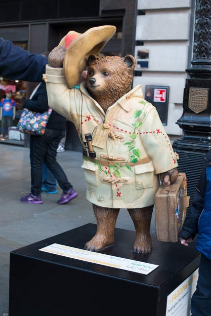 Paddington the Explorer.jpg