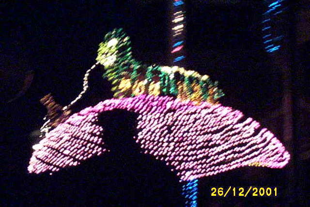 Picture_0026.jpg