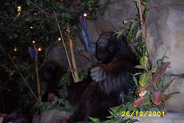 Picture_0033.jpg