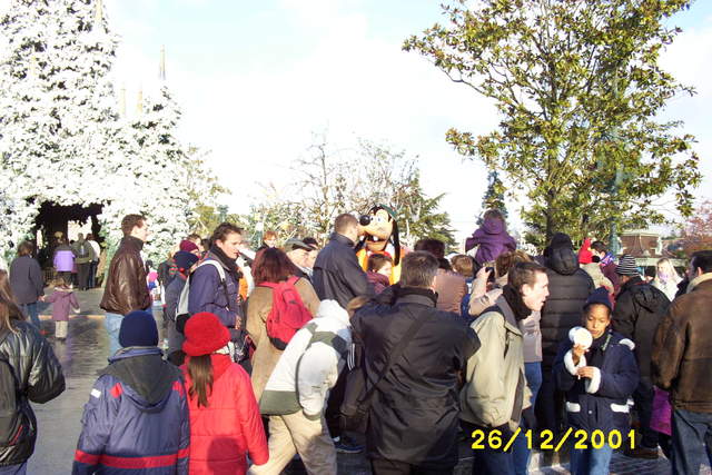 Picture_0035.jpg