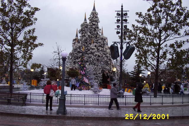Picture_0037.jpg