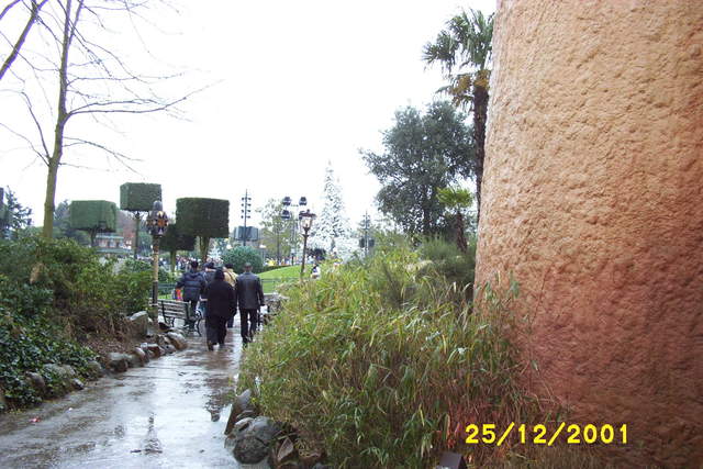 Picture_0046.jpg