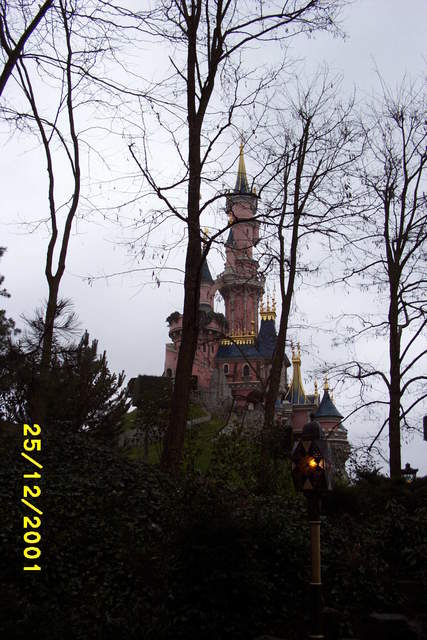 Picture_0047.jpg