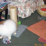 DCP_1310.jpg
