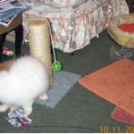 DCP_1311.jpg