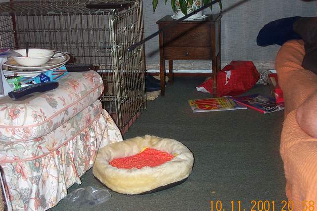 DCP_1313.jpg