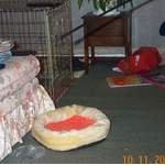 DCP_1314.jpg