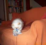 DCP_1343.jpg