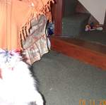 DCP_1344.jpg