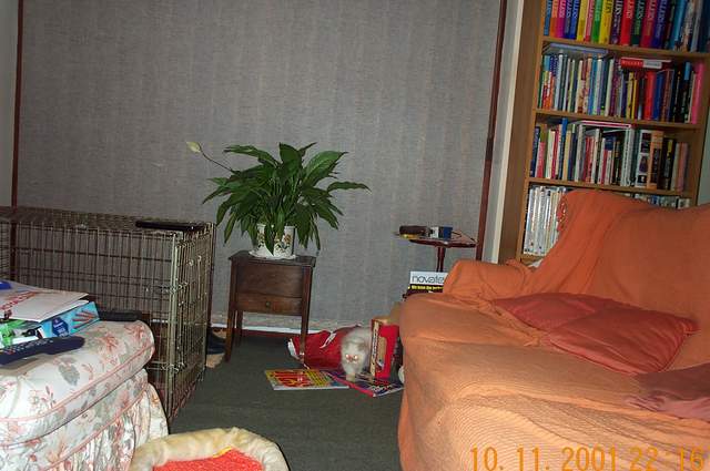 DCP_1346.jpg