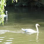 watford-rickmansworth 006.jpg