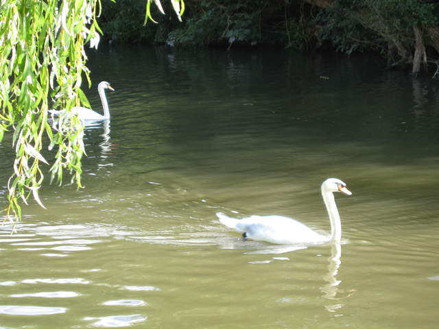 watford-rickmansworth 006.jpg