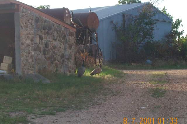 DCP 1083