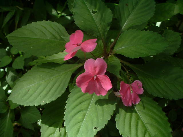Photo taken at La Mina Falls