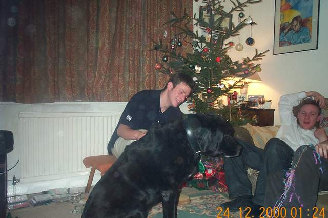 DCP 0686