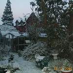 DCP 0498