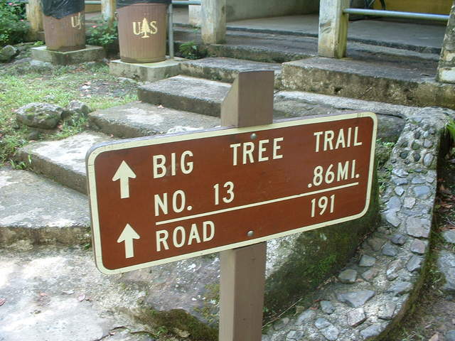 The path I take to the waterfall