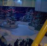 Dcp 0745