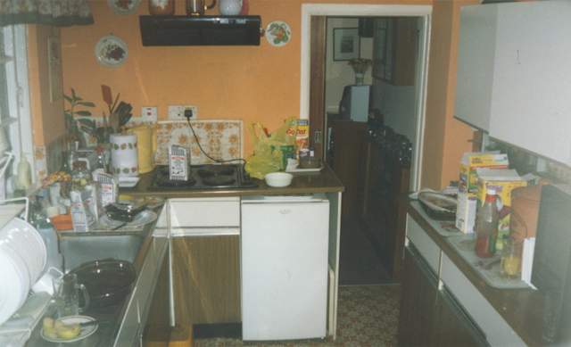 Post-party kitchen