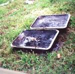 BBQ evidence