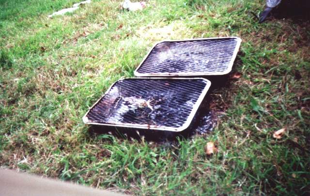 BBQ evidence