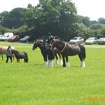 July 2000 - Brinsbury