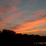 DCP 0084