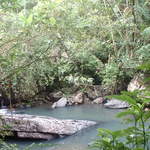 Photo taken on the Big Tree Trail to the falls
