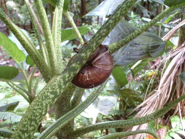 Yet another happy lil native of the forest who was kind enough to pose for the camera