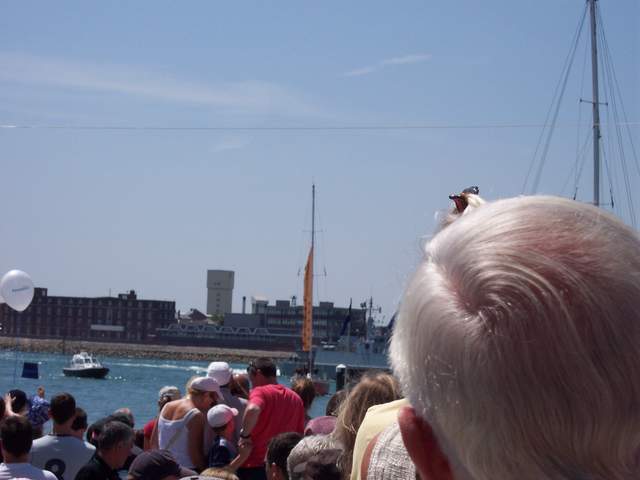 100_0931.JPG
BG Spirit