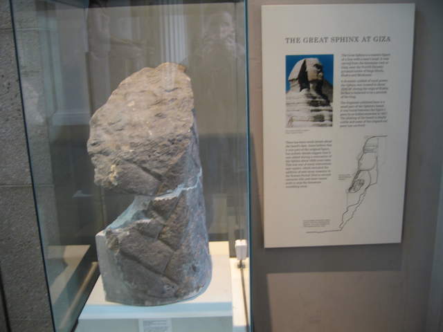 Part of the Sphinx's beard