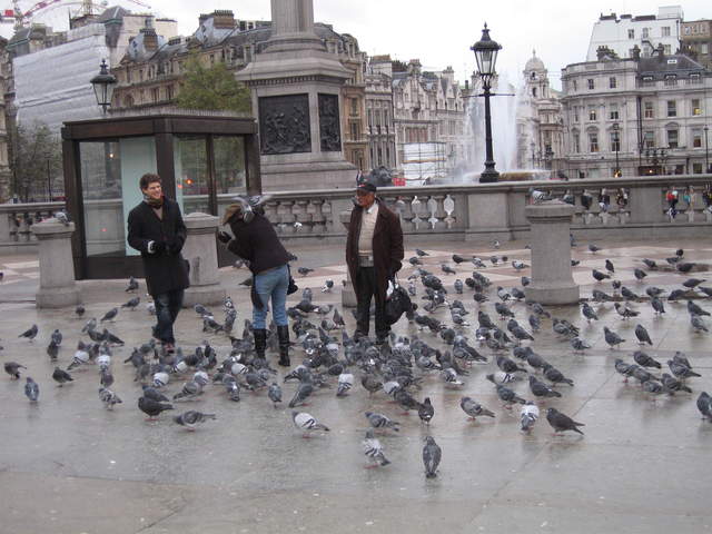Woman being attacked by pigeons in Trafalgar Square