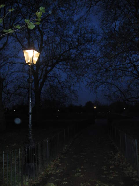 Hyde Park at night