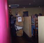 Mr Bear in the Auberge