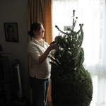 The tree being unwrapped