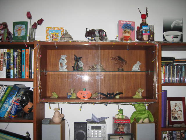 Bookcase lights