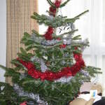 Tinselled Tree
