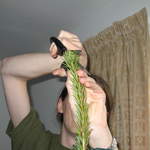 Dismembering the tree