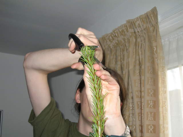 Dismembering the tree