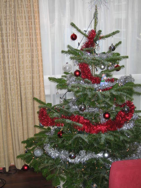 Tree 2005