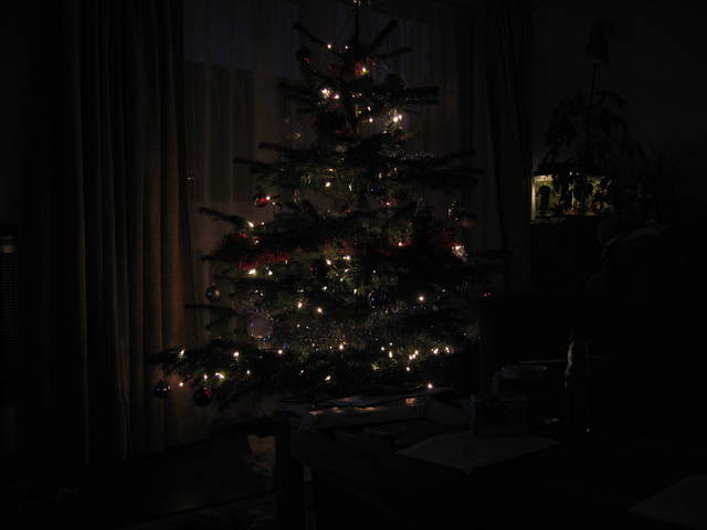 Christmas Tree in the dark